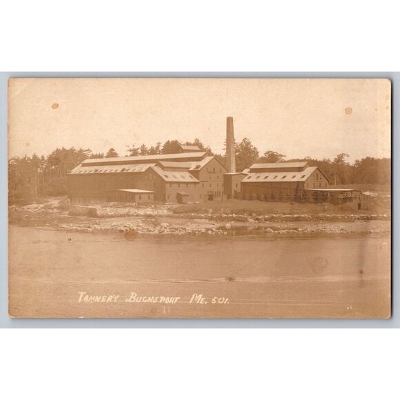 Postcard Unposted Maine Undivided Tannery Bucksport #768 - Picture 1 of 2